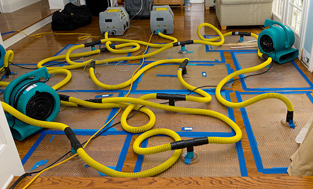 Professional Water Damage Repair technician working in Middletown, NJ